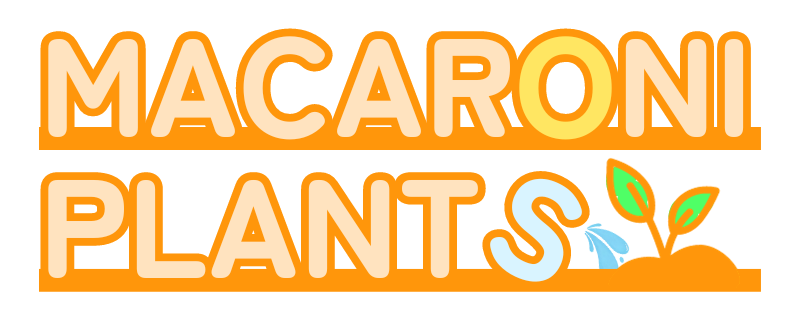 アガベ種子販売サイト『MACARONI PLANTS - マカロニプランツ』
