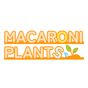 MACARONI PLANTSのアバター